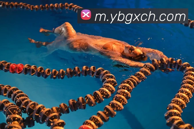体育App